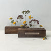 Little Wooden Display Bar for Dried Flowers