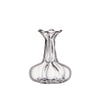 Mini Clear Glass Bud Vase Selection