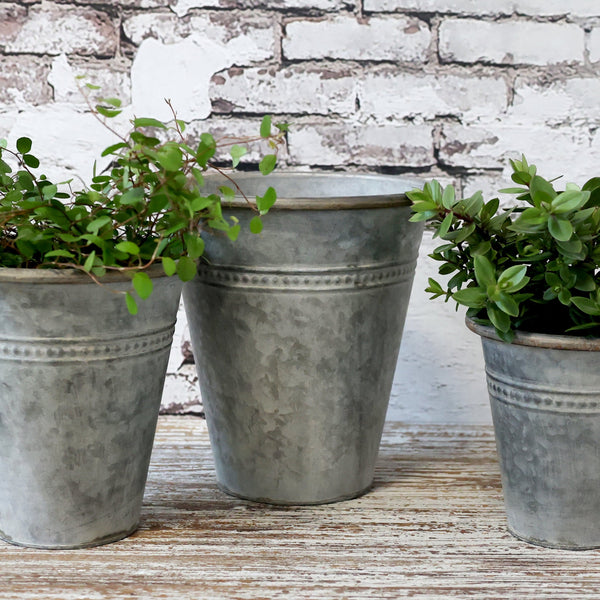 zinc metal plant pots Set of Three Antique Zinc Planters