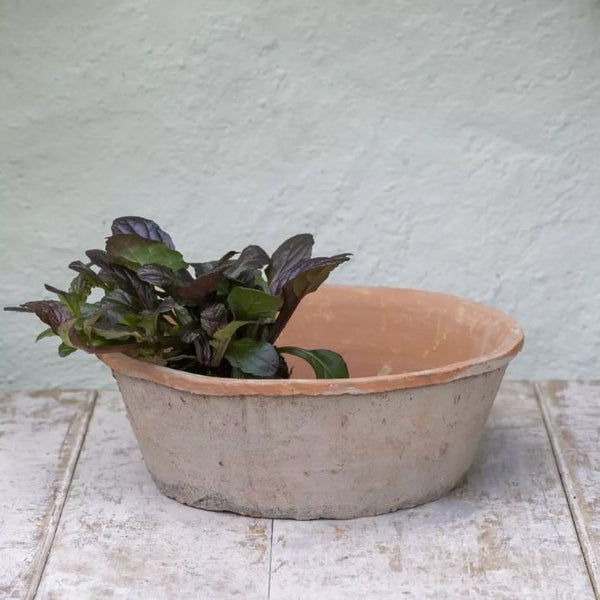 shallow terracotta pots for succulents uk Aged Redstone Dish Planter
