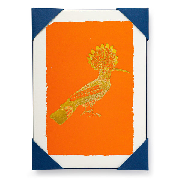 Orange Hoopoe Notelets - Pack of Five