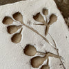 Set of Four Botanical Imprint Coasters