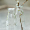 Mini Glass Bottle Vase Set of Six