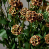 Faux Scabiosa Stem with leaves