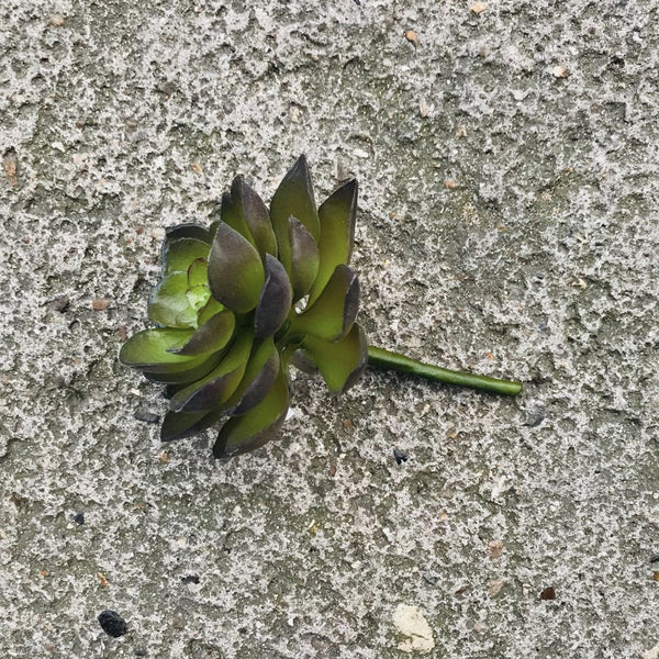 faux succulent plants uk Small Faux Succulent