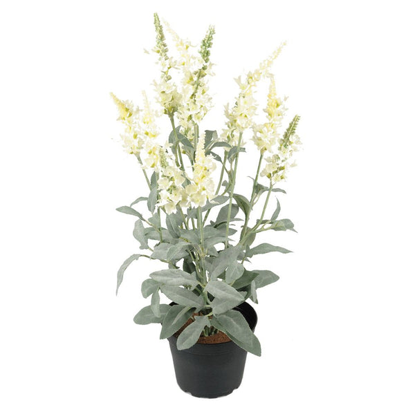 Faux White Veronica Plant in Pot - Greige - Home & Garden - Chiswick, London W4 