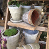 Aged Terracotta Cactus Pot - Various Sizes - Greige - Home & Garden - Chiswick, London W4 