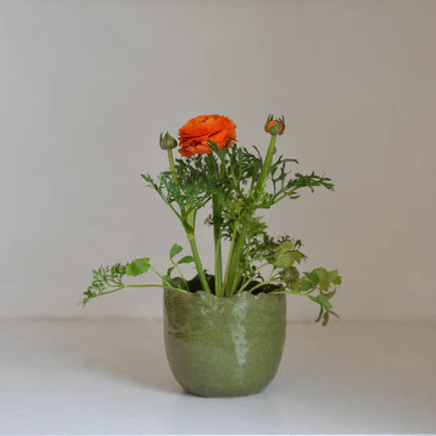 Mottled Green Organic Rimmed Flower Pot - Two Size Options