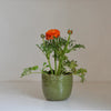 Mottled Green Organic Rimmed Flower Pot - Two Size Options