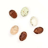 12 Country Bunny Eggs - The Chocolate Detective