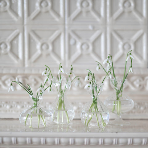 Mini Clear Glass Bud Vase Selection