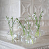 Mini Clear Glass Bud Vase Selection