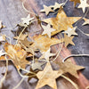 Brass Stars Garland