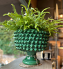 Solanto Bowl - Green - Two Size Options