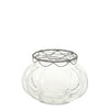Glass Vase with Wire Frog Lid