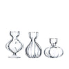 Mini Clear Glass Bud Vase Selection