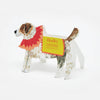 Happy Birthday Jack Russell - Hadley Paper Goods