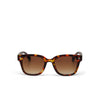 Okkia Sunglasses - Giovanni - Havana/Blue - Brown Gradient Lens