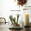 Glass Bottle Vase - Three Size Options