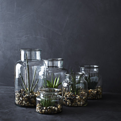 Glass Bottle Vase - Three Size Options