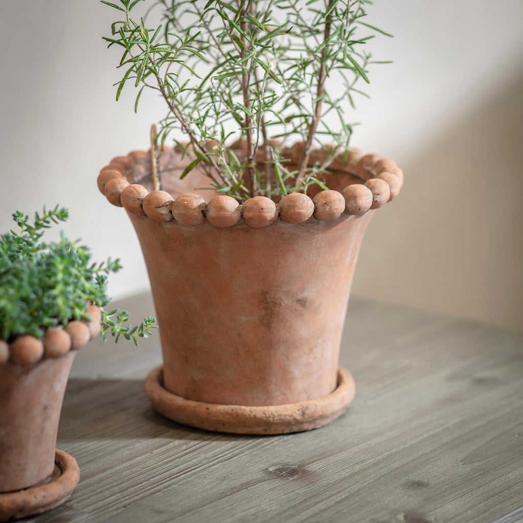bobble plant pot Bobble Top Planter and Saucer