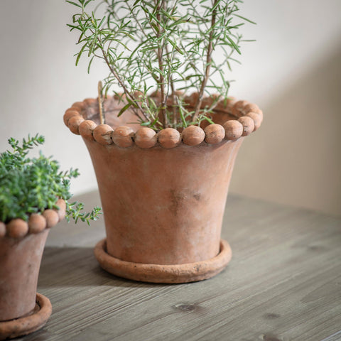 Bobble Top Planter and Saucer