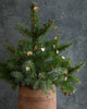 Brass Hearts Garland