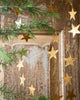 Brass Stars Garland