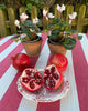 Cotton Block Printed Pink Stripe Tablecloth