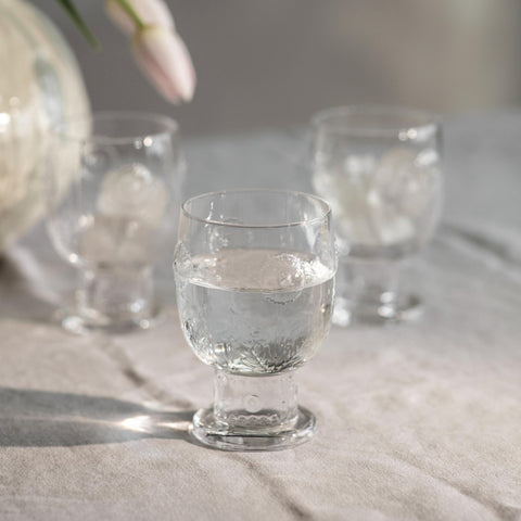 Embossed Botanical Glass Tumbler - Set of Four
