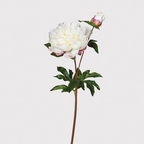 FauxReal Feel White Peony - Open Flower with Bud and Leaves