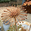 Handmade Rusty Iron Botanical Flower Stems 