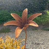 Handmade Rusty Iron Stems - Flowers A to I