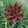 Handmade Rusty Iron Stems - Group B