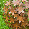 Handmade Rusty Iron Stems - Group C