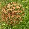 Handmade Rusty Iron Stems - Group C