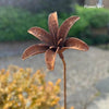 Handmade Rusty Iron Botanical Stems for the Garden