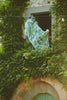 Giant Willow Green Scarf - One Hundred Stars