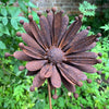 Handmade Rusty Iron Stems - Flowers A to I