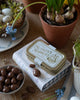 Nutkin’s Nibbles Tiny Chocolate Honeycomb Treats