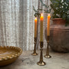 Tulip Iron Candle Holder - Gold - Three Sizes
