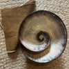 Handmade Reactive Glaze Stoneware Shell Bowl