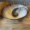 Handmade Reactive Glaze Stoneware Shell Bowl