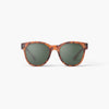 Izipizi Sunglasses - Style N - Havane