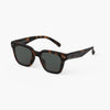 Izipizi Sunglasses - Style Road - Tortoise