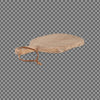 Organic Shape Mango Wood Board - Two Size Options