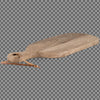 Organic Shape Mango Wood Board - Two Size Options