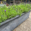 Large Trough Planter - Stone Effect Finish