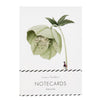 Laura Stoddart Notecard Boxed Set - Green Flowers