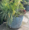 Rustic Verdigris Studded Iron Planter - Large